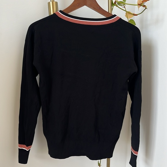 Aritzia Wilfred Free V Neck Varsity Sweater - Picture 4 of 6